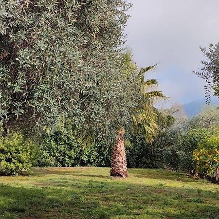 Вила Елена-Villa Elena 1 Σκάλα Ποταμιάς Εξωτερικό φωτογραφία