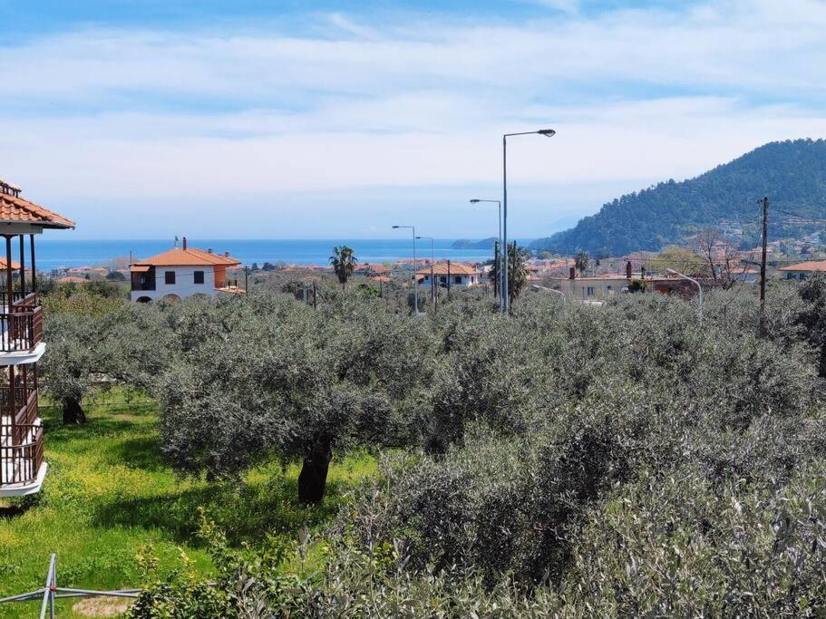 Вила Елена-Villa Elena 1 Σκάλα Ποταμιάς Εξωτερικό φωτογραφία